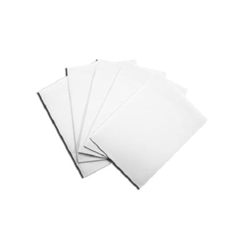 Dragon Shield Wei Card Sleeves (ART10005) - 100 Count Multicoloured Protective Sleeves