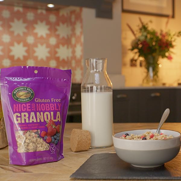 Nature's Path Organic Gluten Free Berry Granola with Yogurt Chunks 300g