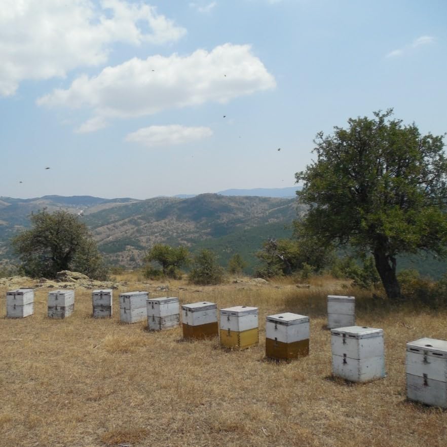 Odysea Greek Spring Flower Blossom Honey, 250g - Cold-Extracted Unfiltered Raw Honey