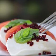 Messino Balsamic Pearls – 50ml Jar – Molecular Gastronomy Vinegar Spheres