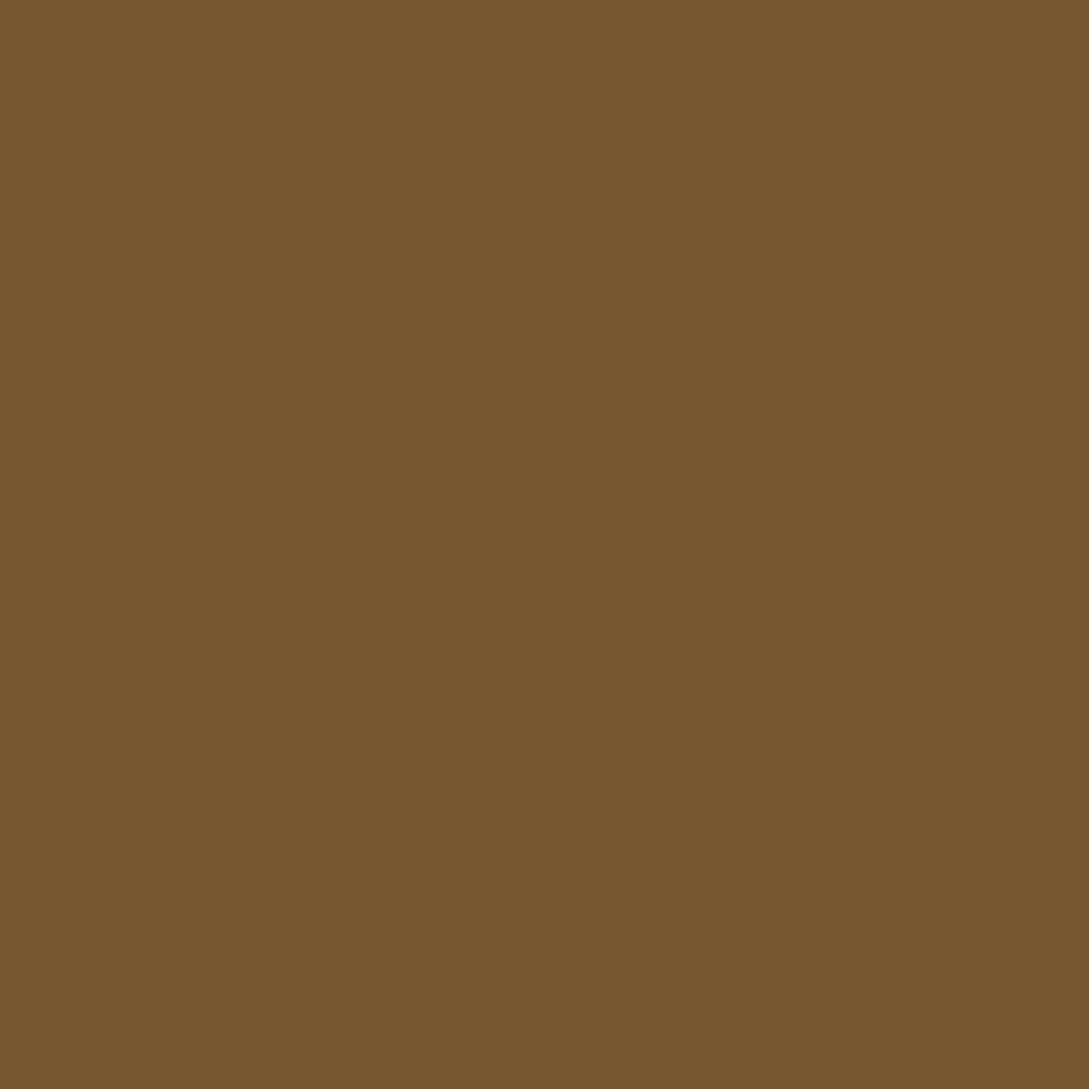 Vallejo Game Color 17 ml Acrylic Paint - Earth 2