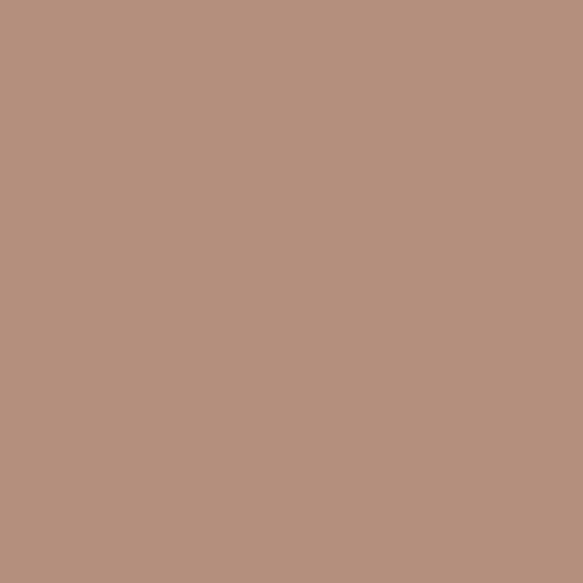 Colour Splash Food Colouring Gel - Latte | Highly Concentrated Gel | 25g 2