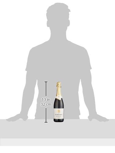 Jacobs Creek Sparkling Shiraz Non Vintage - Sparkling Red Wine (75 cl)