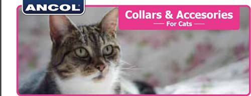 Ancol Reflective Safety Buckle Cat Collar - Yellow | All Life Stages 4