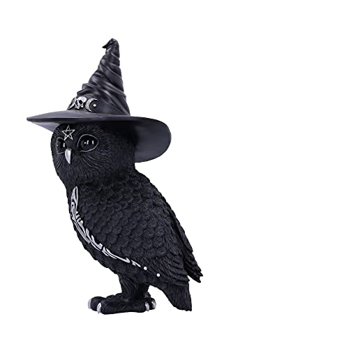 Nemesis Now Owlocen Witch Owl Figurine (B5904V2)