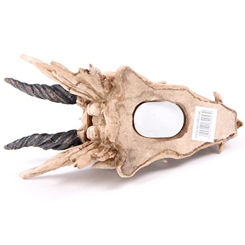 Puckator - Dragon Skull Money Box Home Decor