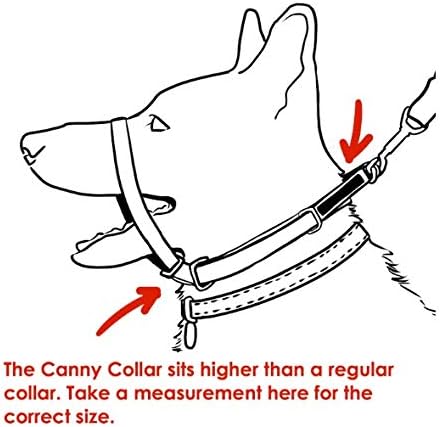 Canny Collar - The Collar For Dog Training And Walking, Head Collar For Dog Walking - Black (Size 4) (02-1005)