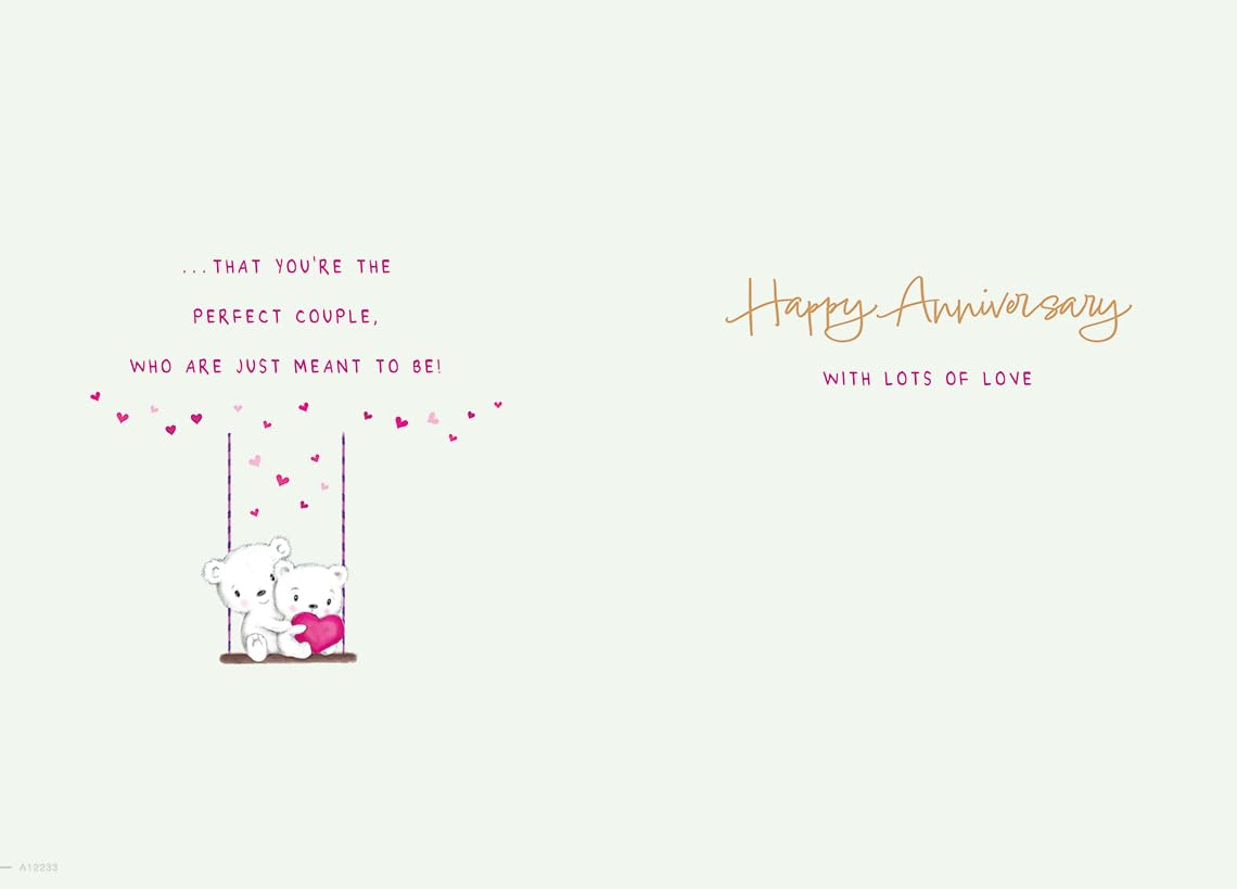 Piccadilly Greetings Anniversary Card for Wonderful Sister & Brother-in-Law | 9 x 6 Inches 2