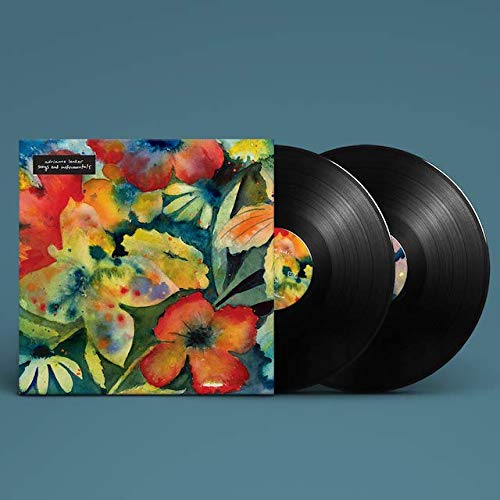 Adrianne Lenker - Songs and Instrumentals [2LP Import Vinyl] 3