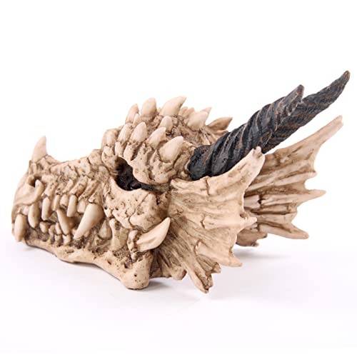 Puckator - Dragon Skull Money Box Home Decor