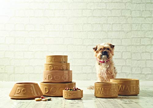 Mason Cash Cane Lettered Dog Water Bowl - 2.4L Capacity | Heavy Stoneware | Dishwasher Safe