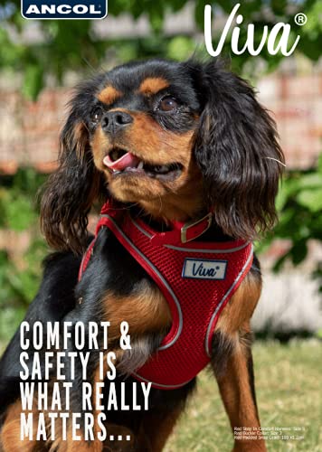 Ancol Viva Lightweight Mesh Dog Harness - Red, Size Medium (Girth 44-57 cm) 8