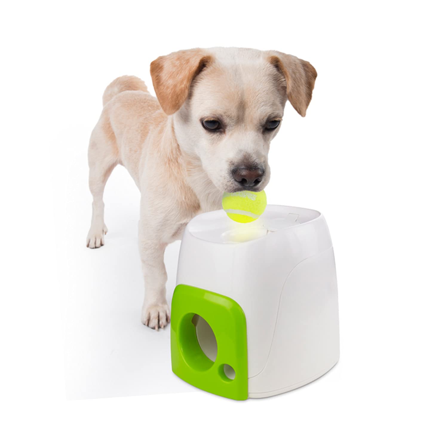 ALL FOR PAWS Fetch'N Treat Interactive Dog Toy | Gravity Treat Dispenser | Includes Tennis Ball 1