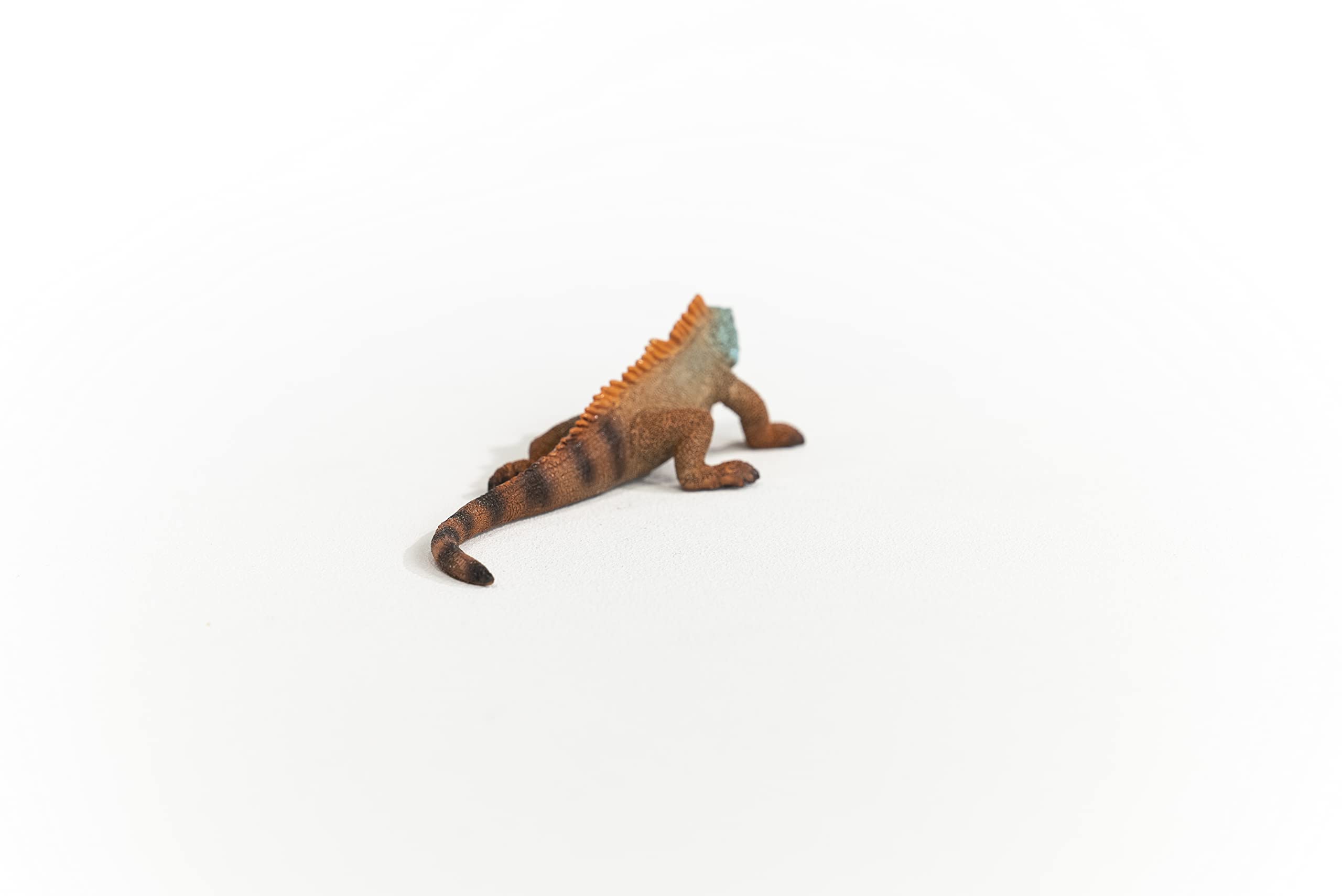 SCHLEICH Iguana Wildlife Figurine - Realistic Reptile Toy for Kids 2