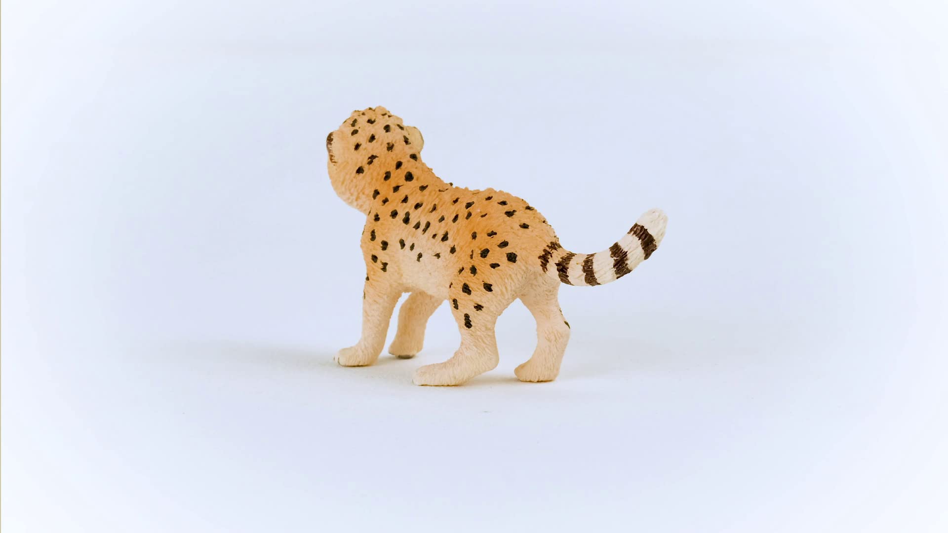 SCHLEICH Wild Life Cheetah Baby Figurine 14866 | Miniature Plastic Toy | Ages 3+ 3