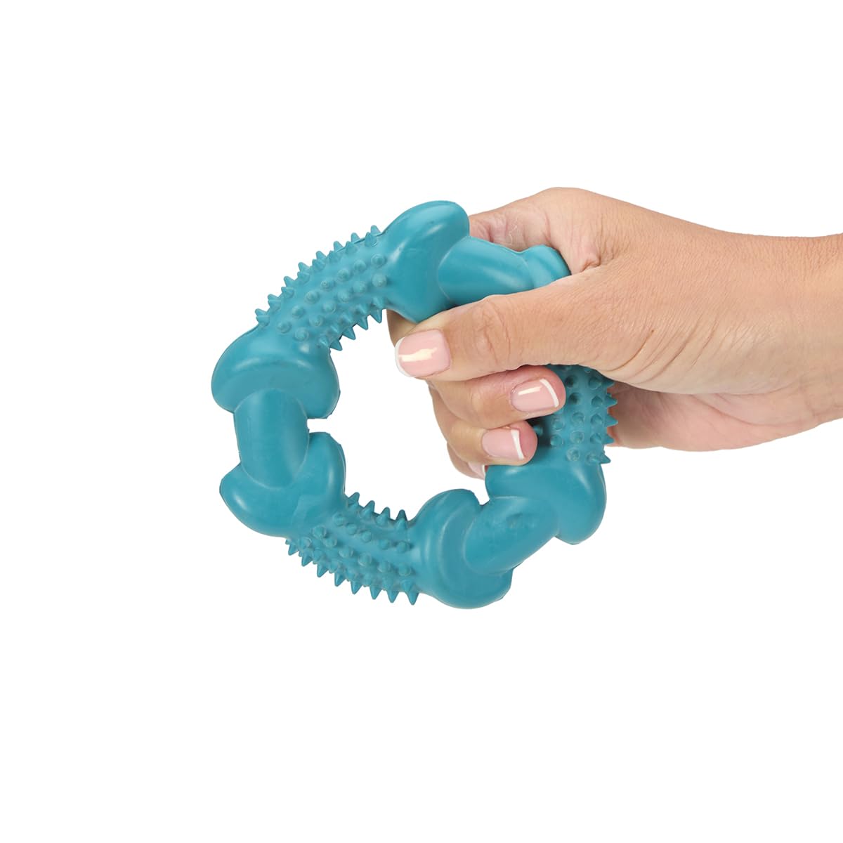 Petface Little Petface Rubber Ring Teething Chew Dog Toy for Puppies | Non-Toxic Rubber | Turquoise 2