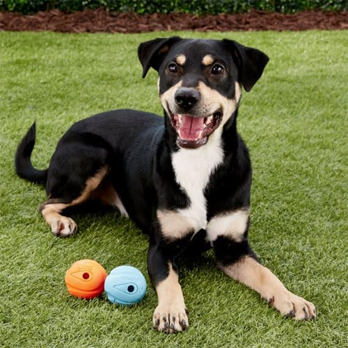 Chuckit! The Whistler Ball - Durable Rubber Interactive Dog Toy for Fetch | Large Size | Assorted Color 4