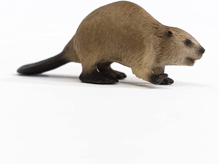 Schleich 14855 Beaver Figurine - Realistic Wildlife Animal Toy for Kids, 10 x 3 x 3 cm