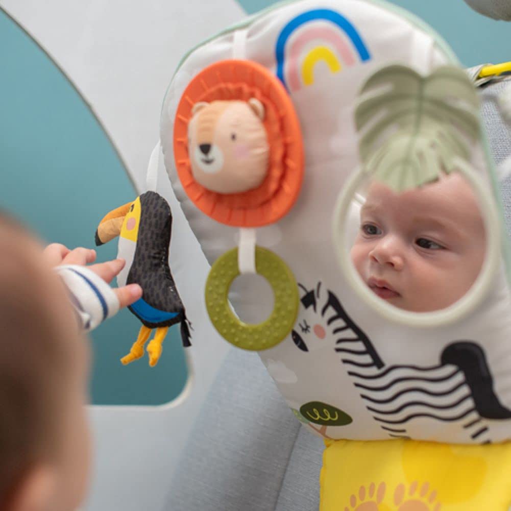 Taf Toys Savannah Play & Kick Car Toy - Sensory Activity Toy for Rear-Facing Babies 12