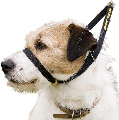 Canny Collar - The Collar For Dog Training And Walking, Head Collar For Dog Walking - Black (Size 4) (02-1005)