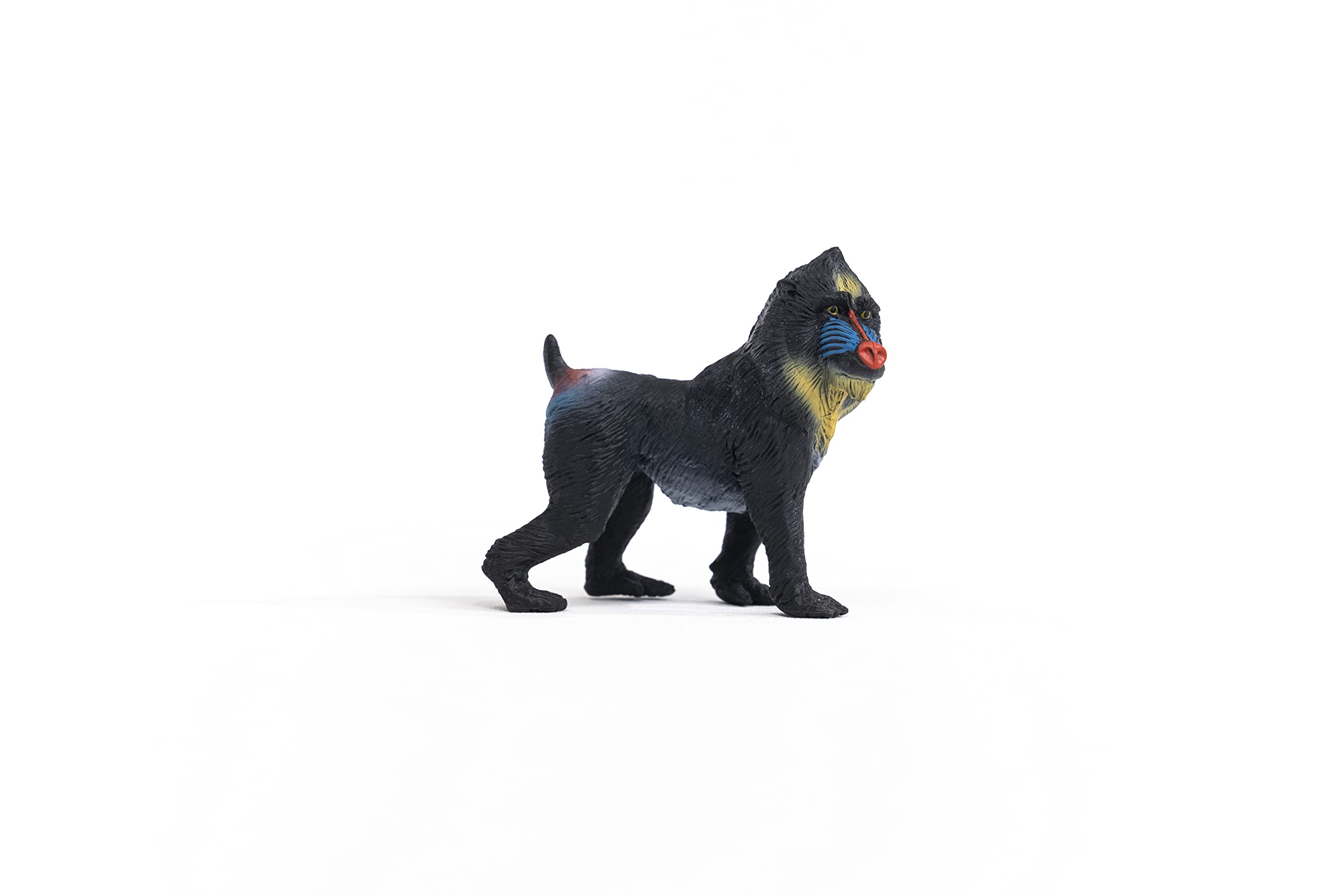 Schleich Wild Life Mandrill Figurine 14856 - Miniature Plastic Animal Toy | New for 2022 6