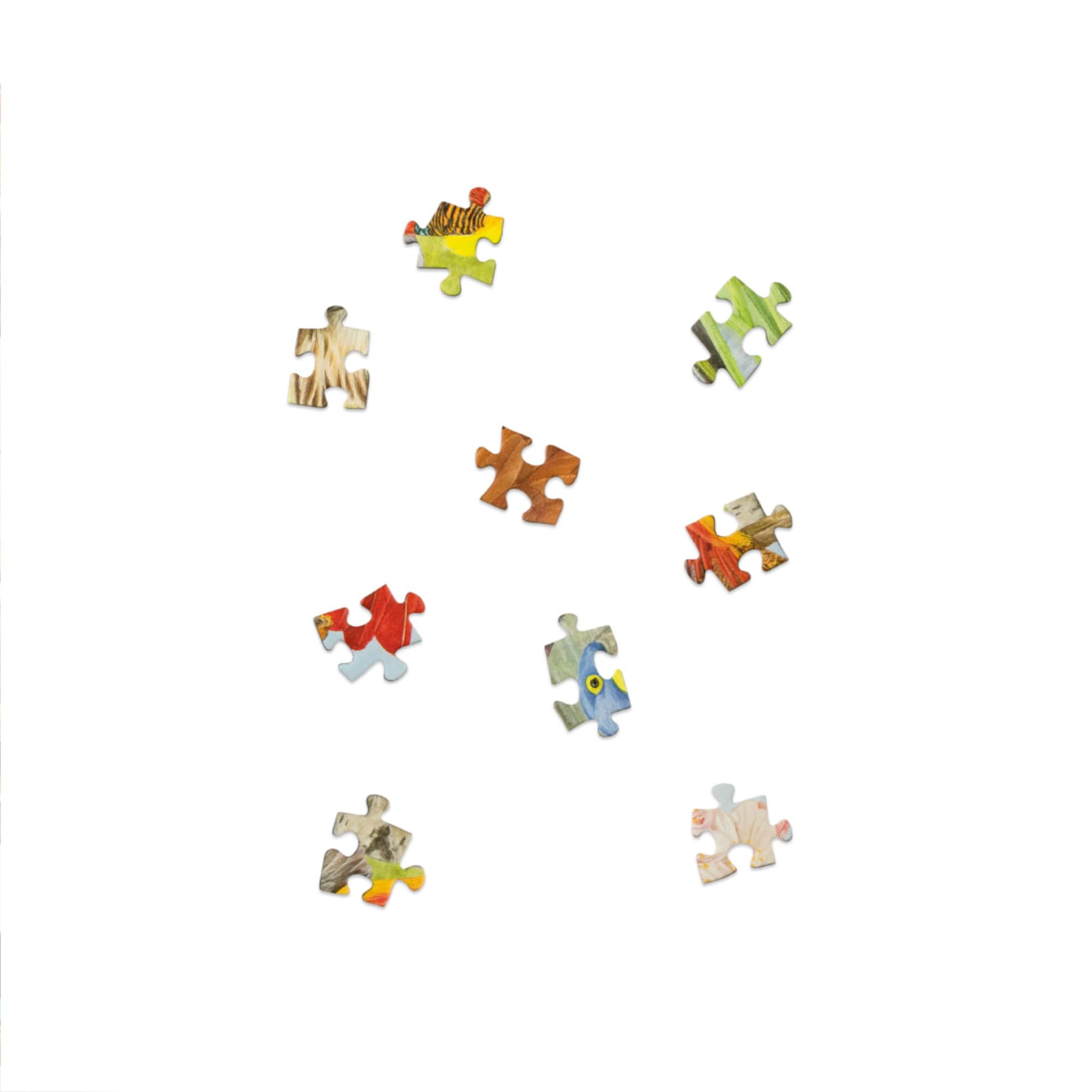 Around the World in 50 Birds: 1000-Piece Jigsaw Puzzle by Laurence King Publishing