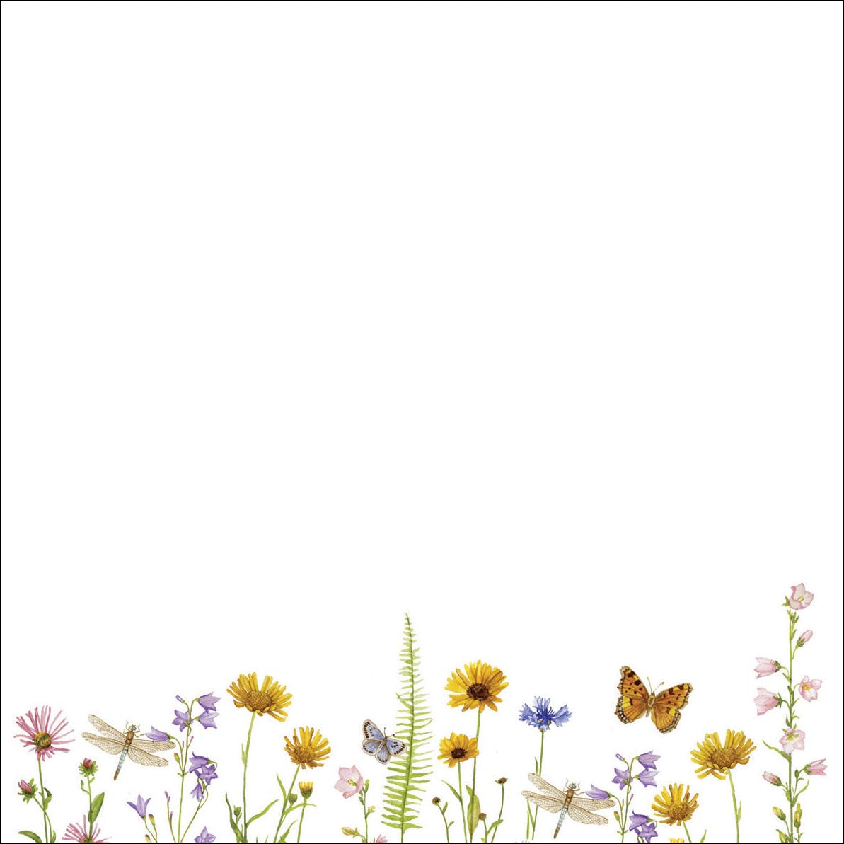 Peter Pauper Press Wildflower Garden Desk Notes - 250 Sheets | Keepsake Box with Gold Foil 2