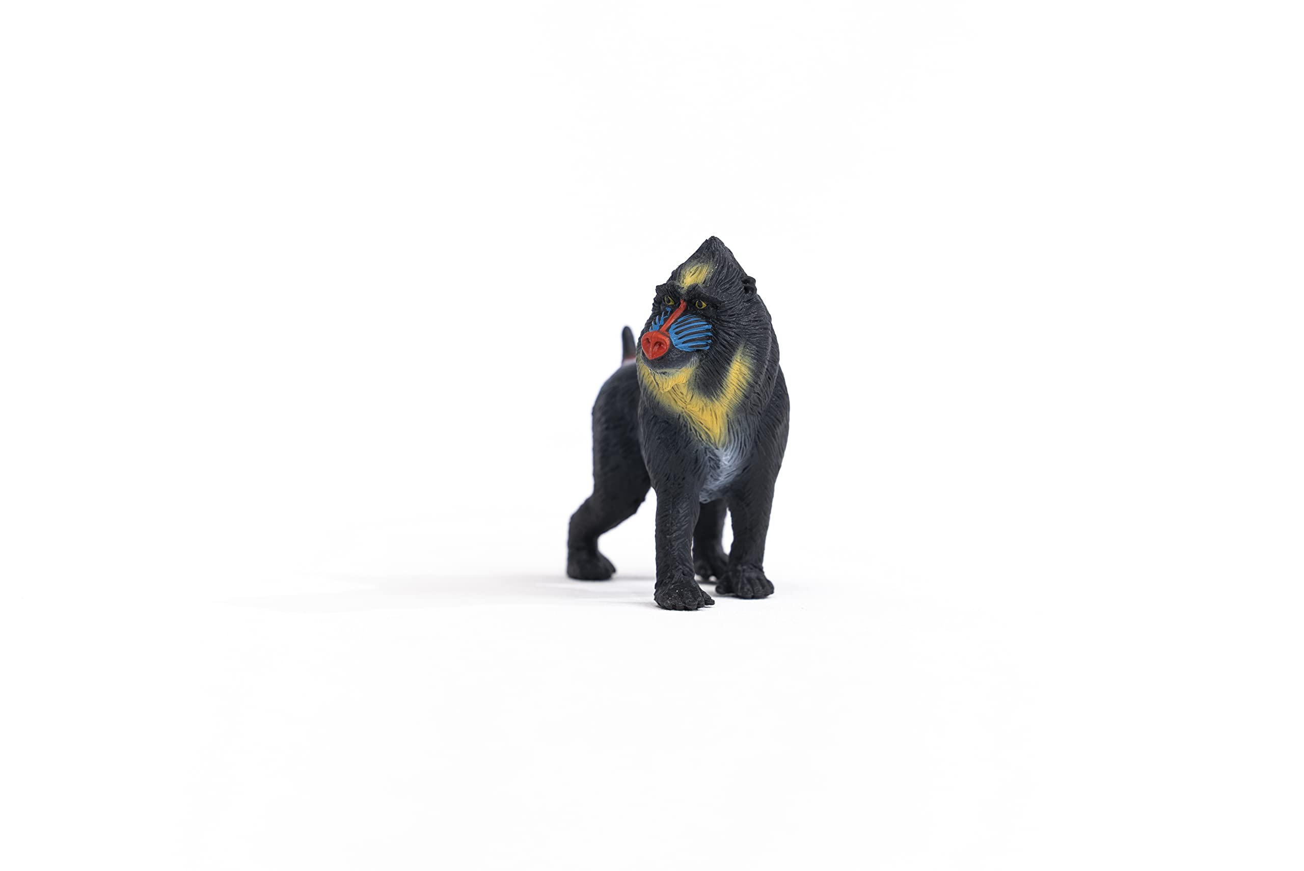 Schleich Wild Life Mandrill Figurine 14856 - Miniature Plastic Animal Toy | New for 2022 7