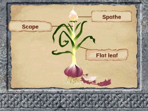 Leapfrog Explorer Learning Game Disney Pixar Brave - Educational Science Adventure for Ages 5-8 16