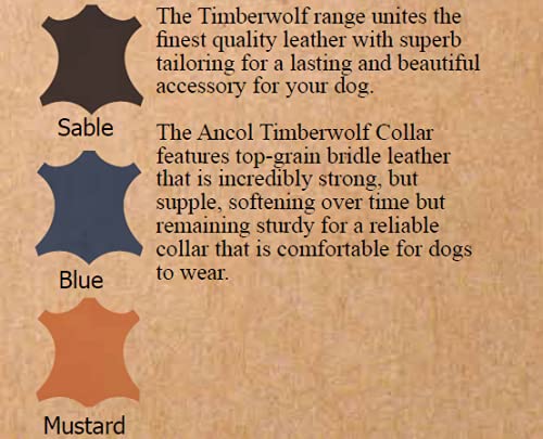 Ancol Handcrafted Heavy Duty Sable Timberwolf Leather Dog Lead | 1m L x 19mm W | Medium Dog Size 6