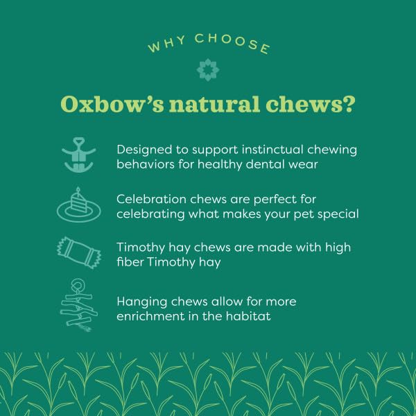 Oxbow Enriched Life Loco Ball - Small Animal Chew Toy for Rabbits & Guinea Pigs | Natural Fibres 3