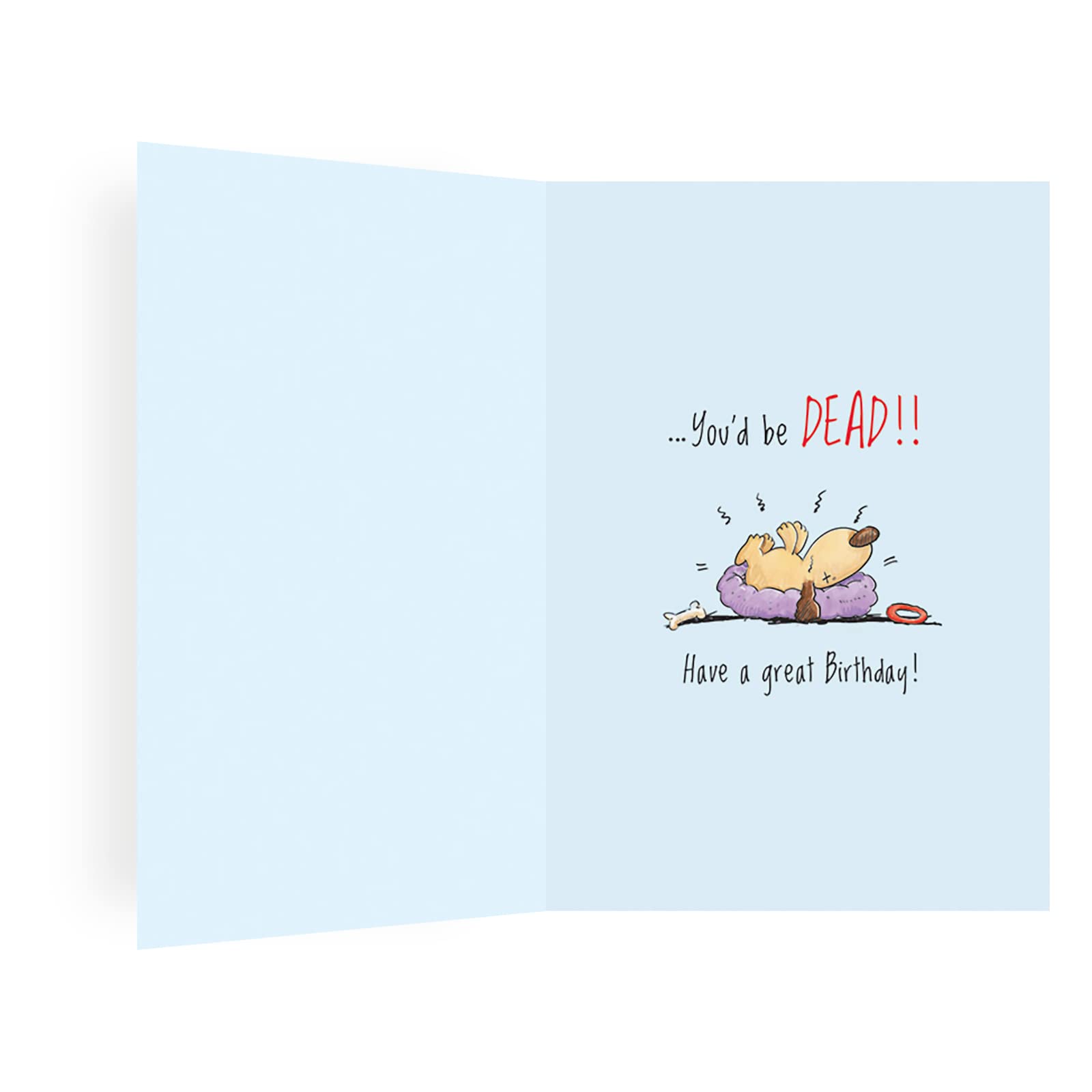 Regal Publishing Humour Birthday Card - Old in Dog Years | 7 x 5 Inches | Light Blue