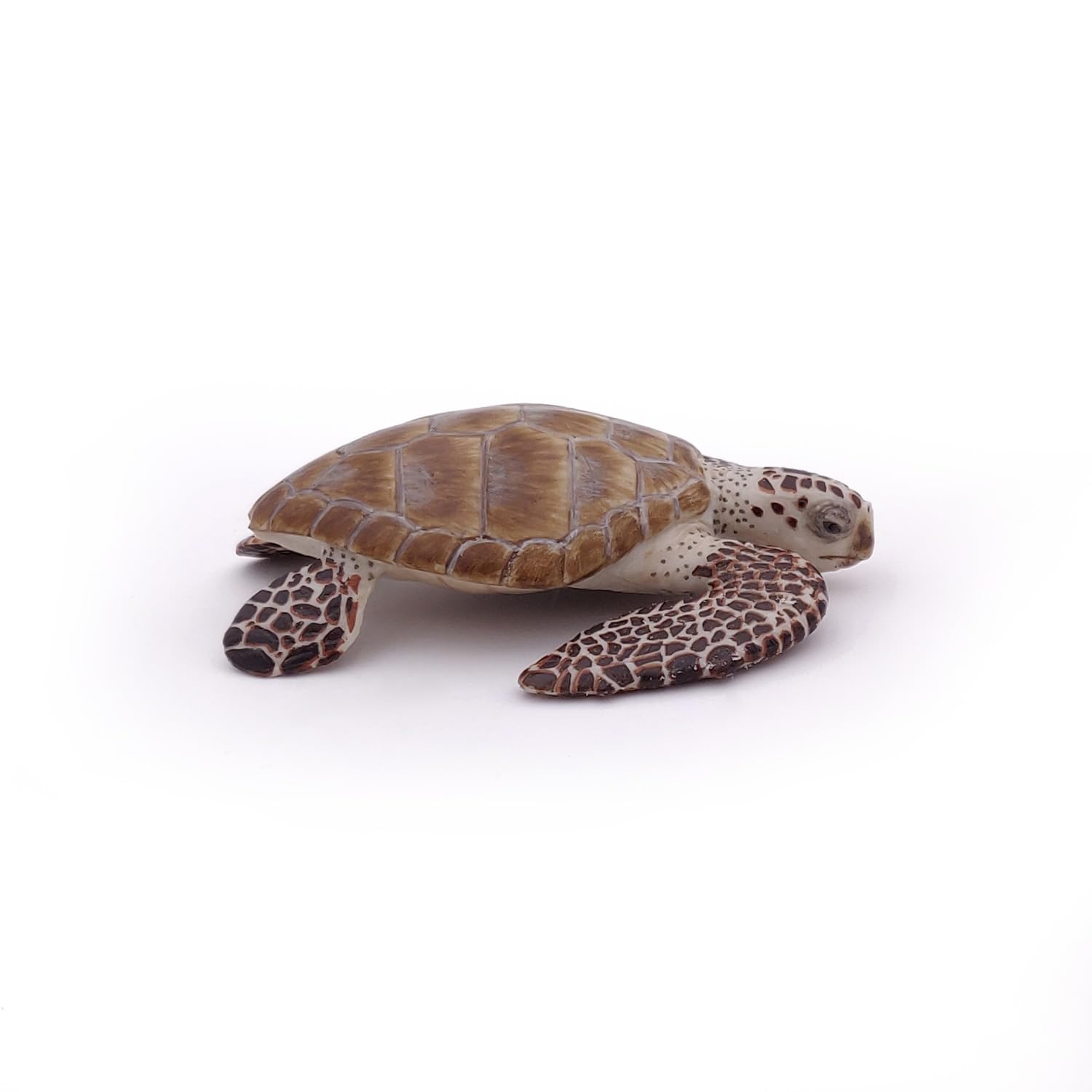 Papo Loggerhead Turtle Figure 56005 Miniature Marine Life Toy for Ages 3+ 6
