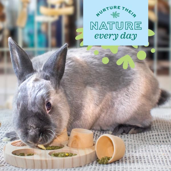 Oxbow Enriched Life Garden Dig Box - Natural Paper Chew Toy for Small Animals | Lightweight & Portable 4