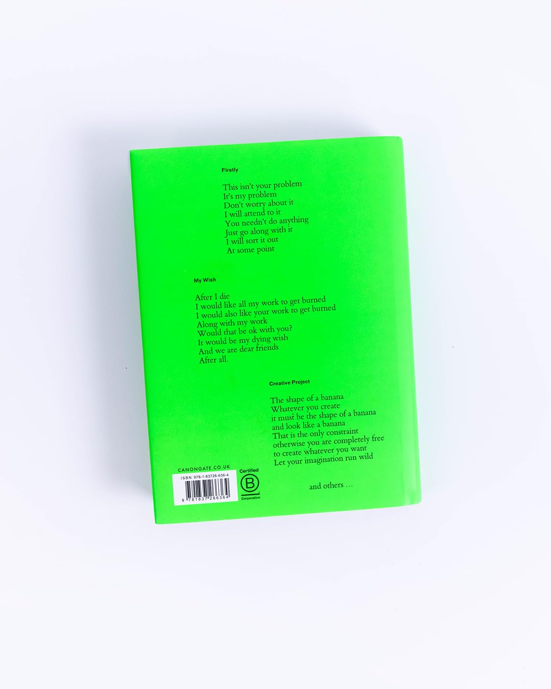Canongate Creative Writing - David Shrigley, Hardcover, 304 Pages
