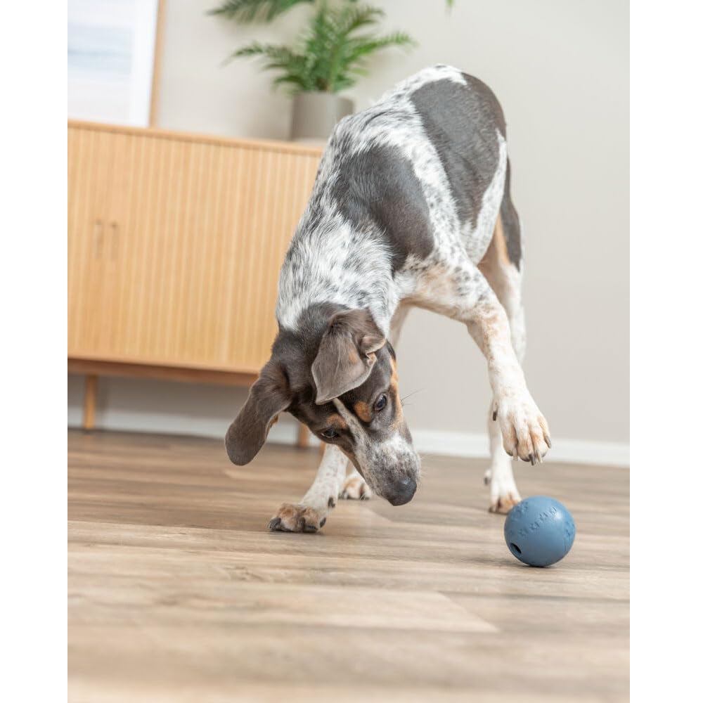 TRIXIE Dog Activity Snack Ball - Natural Rubber Treat Dispenser | 7 cm Diameter | Medium Dog Size 3