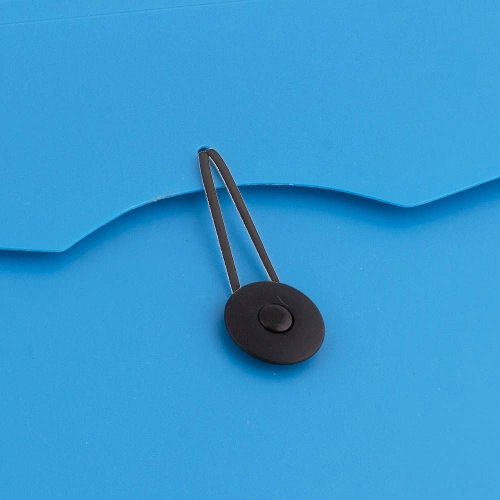 D.RECT Expandable File Organizer - 12 Pockets | A4 Size | Blue Polypropylene 4
