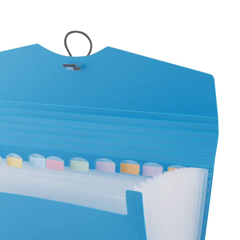 D.RECT Expandable File Organizer - 12 Pockets | A4 Size | Blue Polypropylene 3