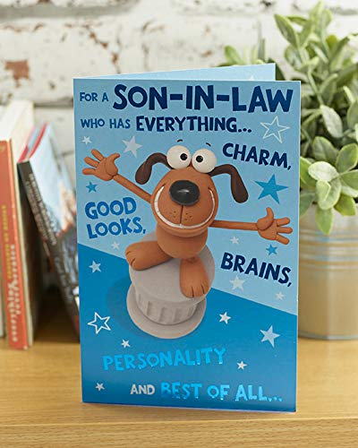 UK Greetings Crackers Range Funny Son-In-Law Birthday Greeting Card | 137mm x 210mm
