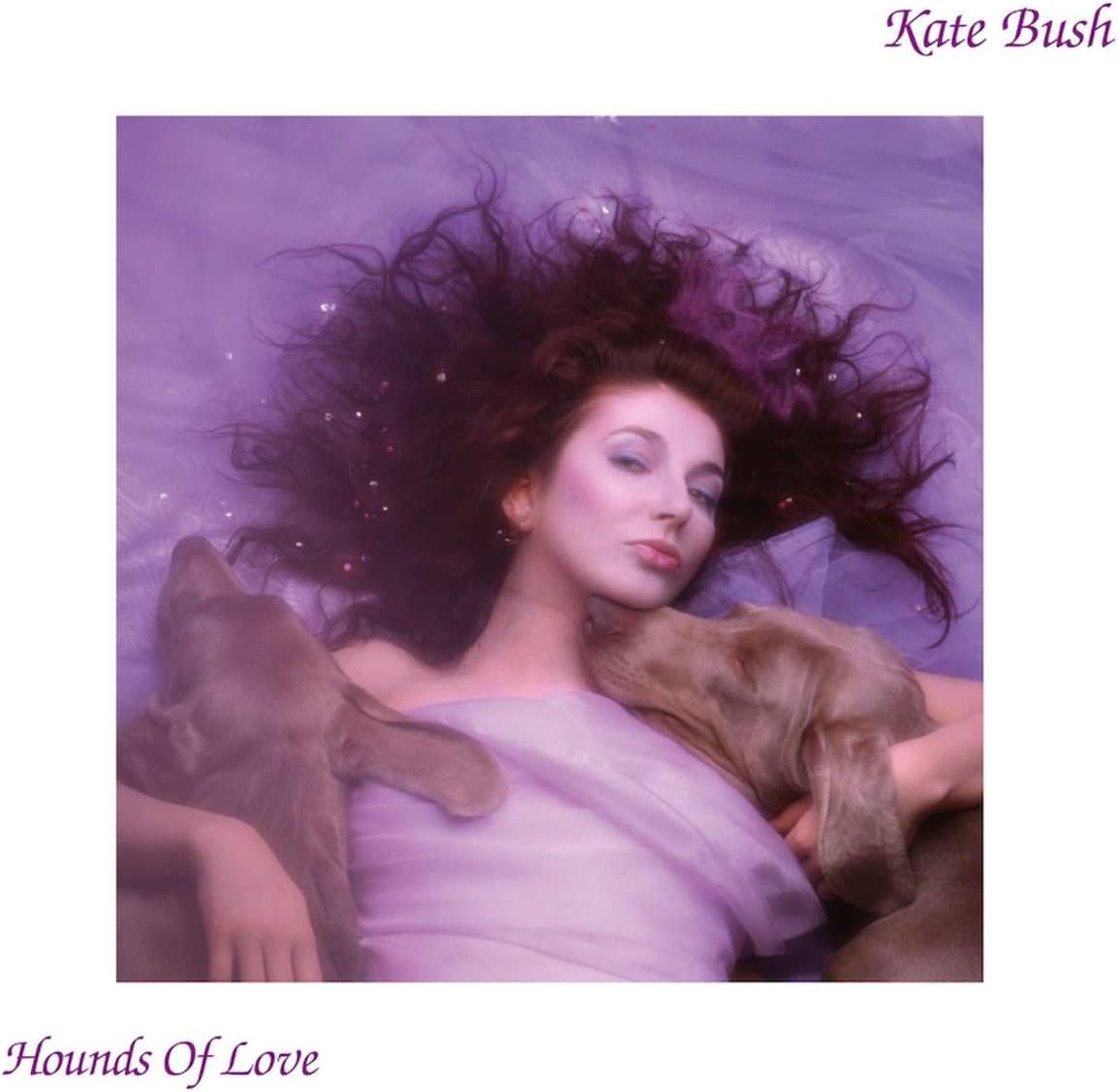 Kate Bush - Hounds of Love (Fish People Edition) [VINYL] 1
