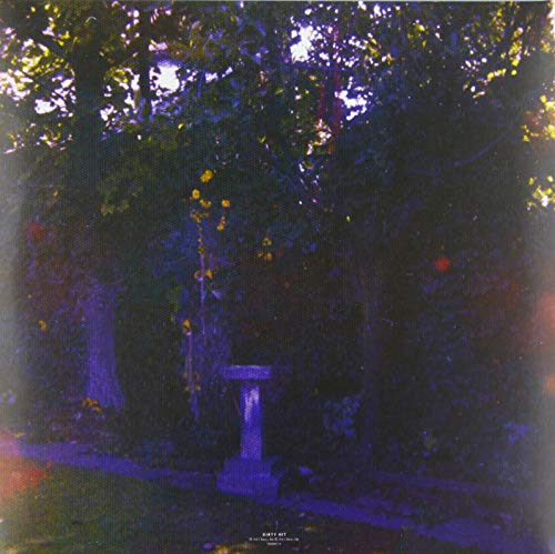 Wolf Alice - Visions Of A Life [Audio CD] 4