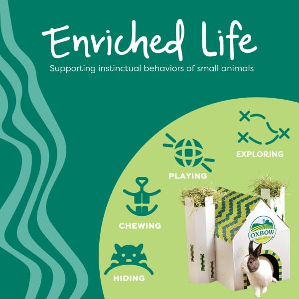 Oxbow Enriched Life Garden Dig Box - Natural Paper Chew Toy for Small Animals | Lightweight & Portable 5