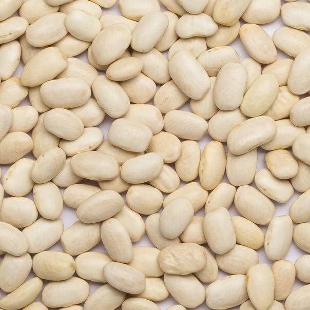 Wholefood Earth Haricot Beans - 1 kg Pack | GMO Free | High Fibre 4