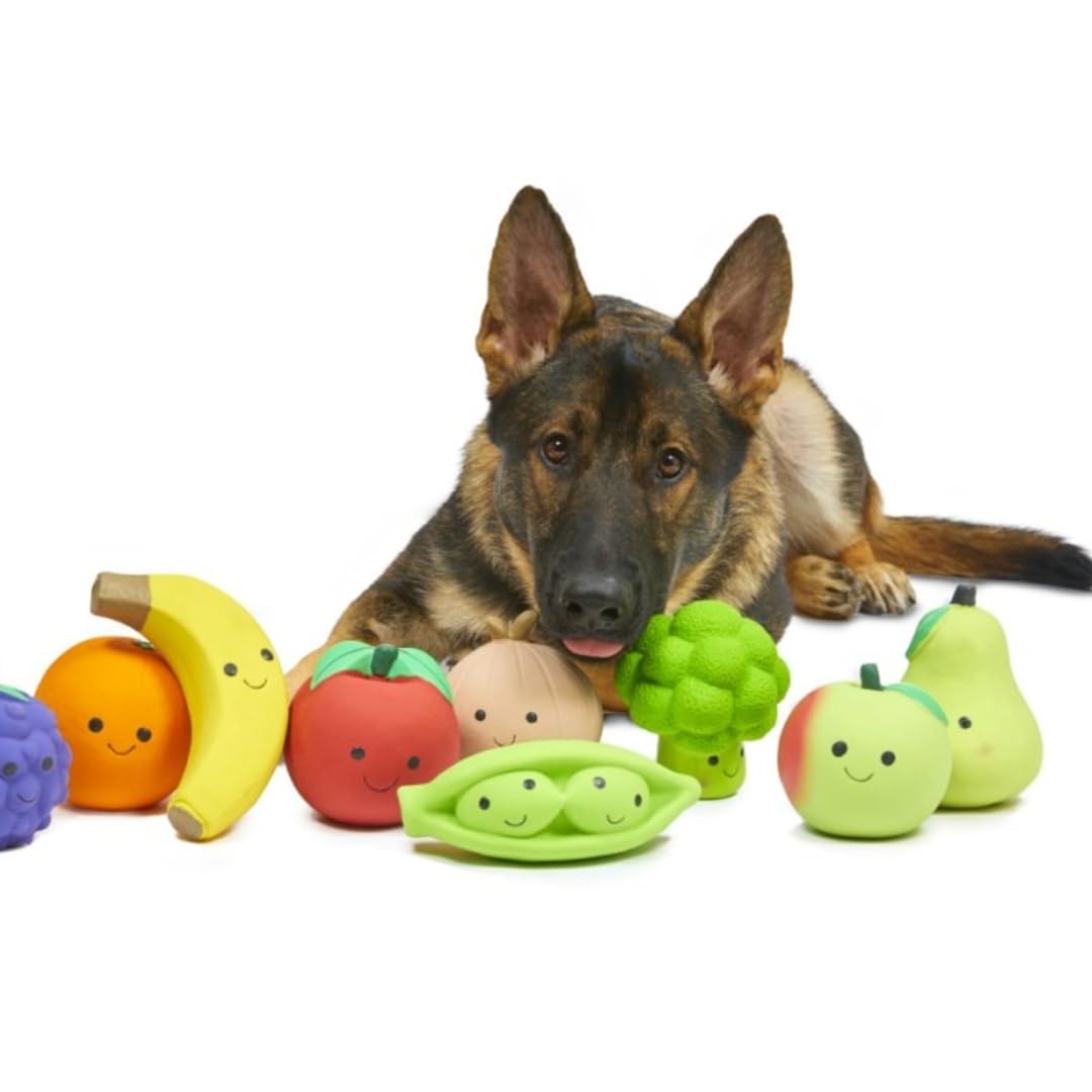 Petface Latex Onion Soft Chew Dog Toy - Large Size | Durable Natural Rubber 4