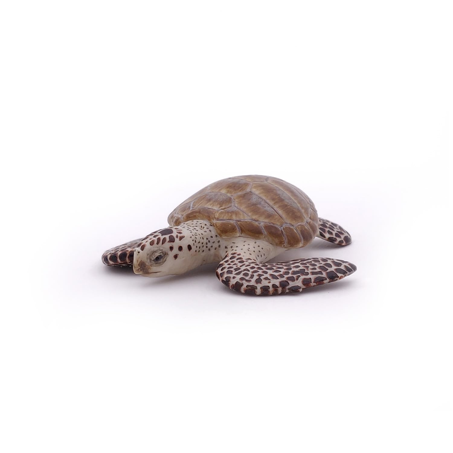 Papo Loggerhead Turtle Figure 56005 Miniature Marine Life Toy for Ages 3+ 3