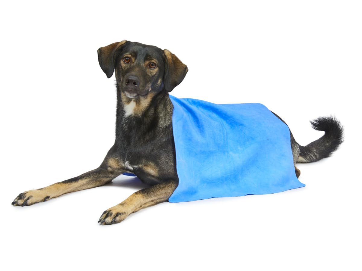 Petface Cooling Summer Pet Towel - Water-Activated Relief | 66 x 43 cm | Blue 8
