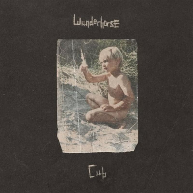 Wunderhorse - Cub Audio CD 1