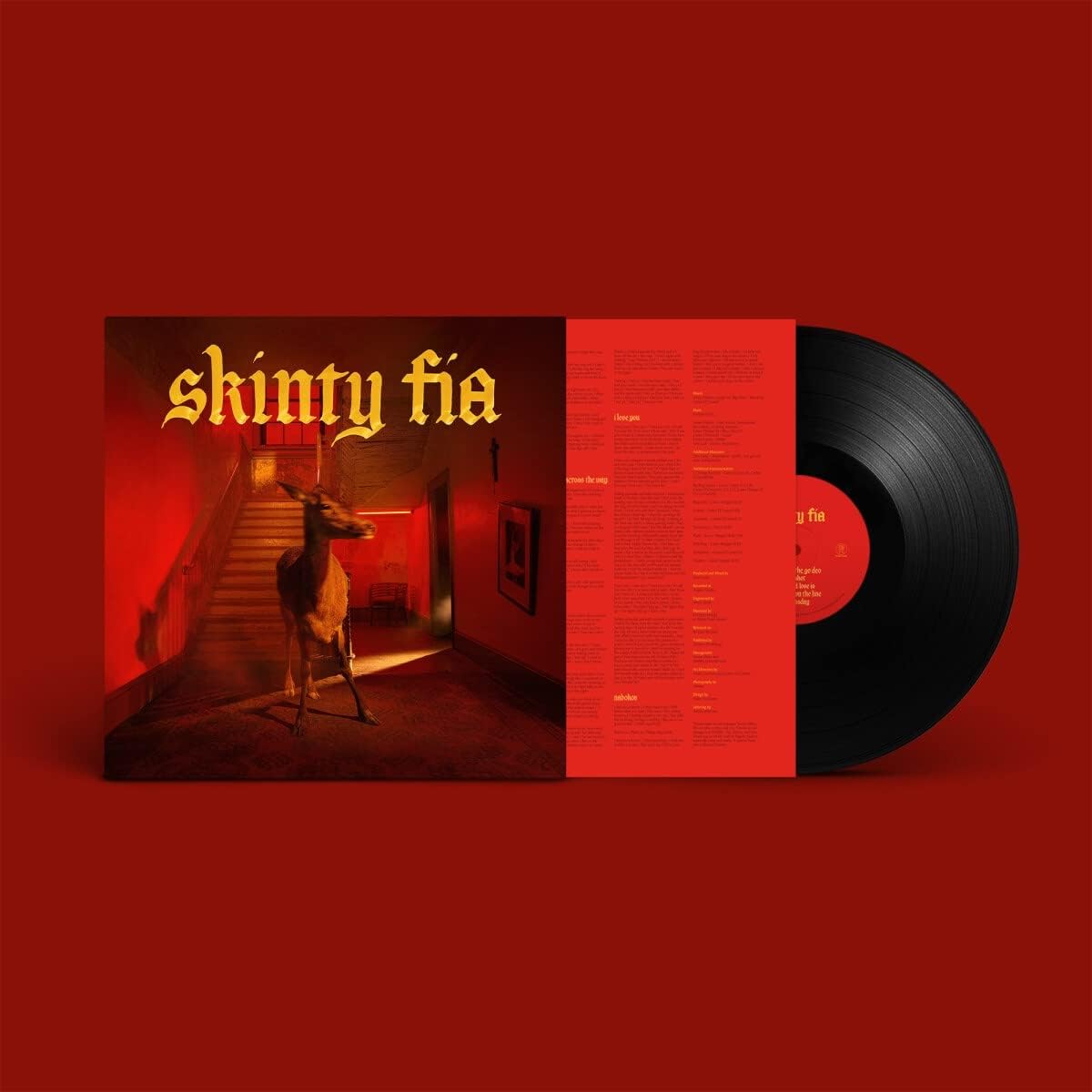 Fontaines D.C. - Skinty Fia [VINYL] 1