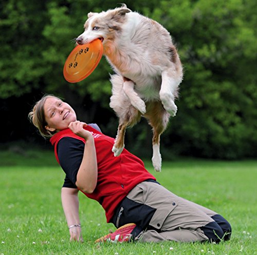 TRIXIE Dog Activity Bite-Proof Disc | Flexible Plastic, 23 cm Diameter | Tournament Approved 3