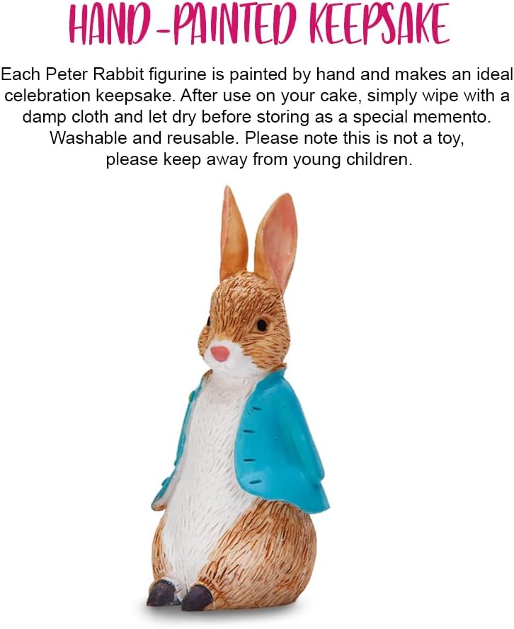 Anniversary House Peter Rabbit Resin Keepsake Cake Topper - Hand-Painted Figurine Decoration 6